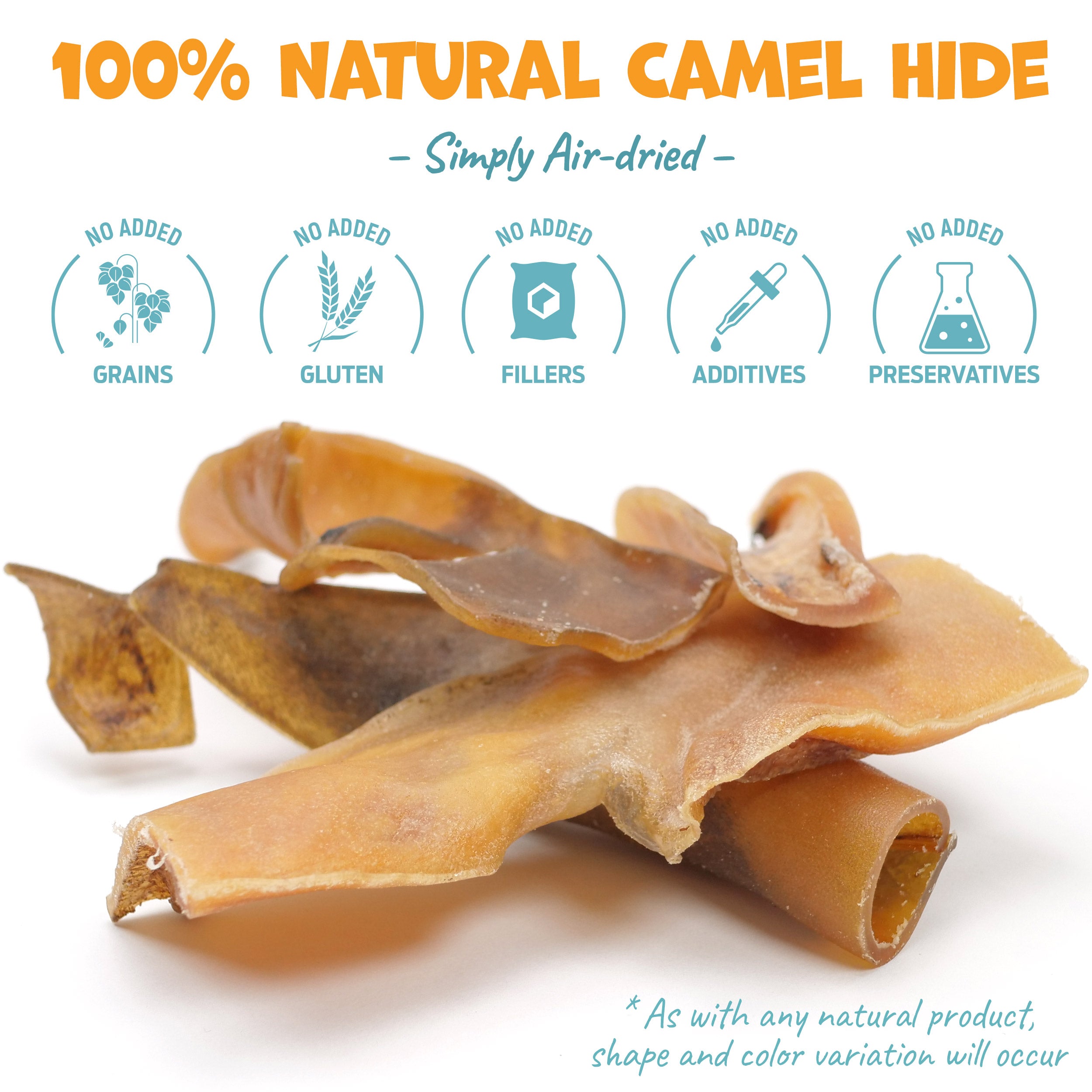 2a-6inCamel.jpg