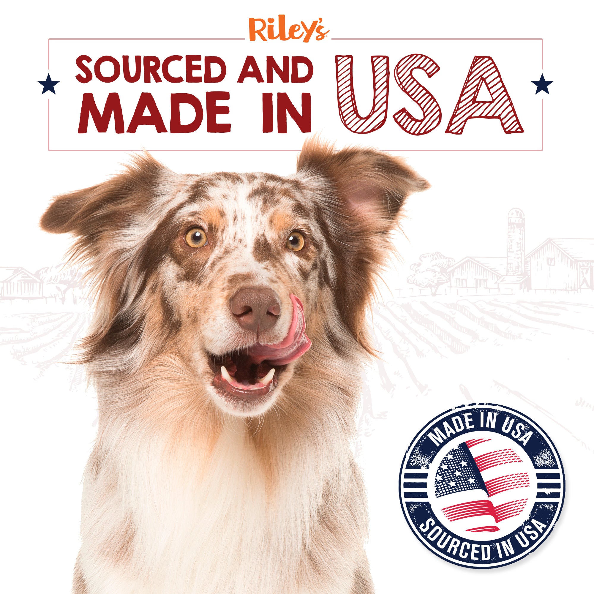 6-Rileys-USA-pup.jpg